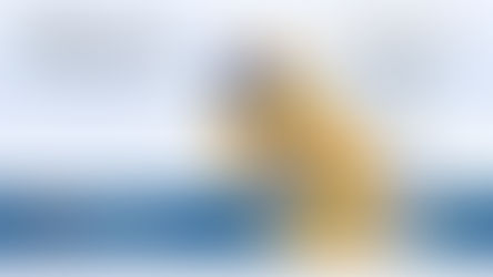 מעלים את הפוטנציאל הסולארי: סולטל סיסטמס תציג בתערוכת ניהול אנרגיה בגרמניה