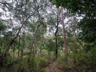 Lonely Bay, Bung Yarnda
GunaiKurnai Country 05-08-2026 | Photo Lisa Roberts