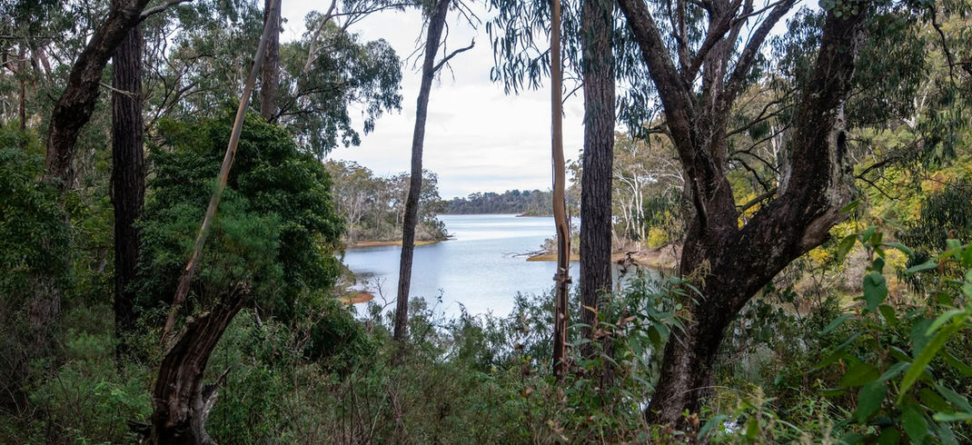 Lonely Bay, Bung Yarnda 
GunaiKurnai Country: Beside two large planned burns
