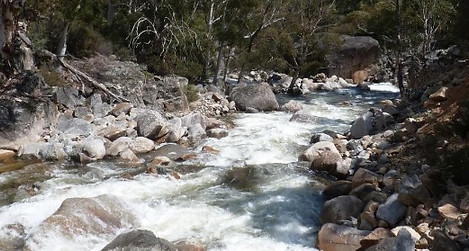 Vandalism': NSW gives way on Snowy oversight as wild rivers flow briefly again