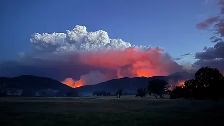 VICEMERGENCY HUME.webp