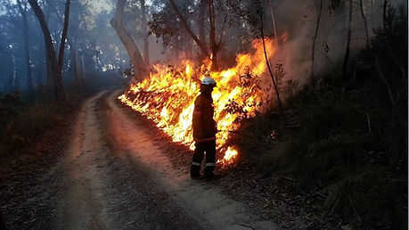 A NSW ranger carries out a controlled hazard reduction burn Photo NPWS- Ian Dicker