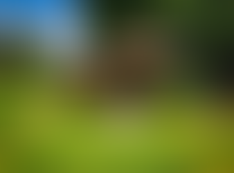 "30 Best Bahay Kubo Designs You Can Use as ‘Tambayan’ or Home for Small Families." 🛖🛖🛖