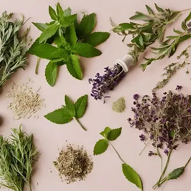 formation-naturopathe-muret