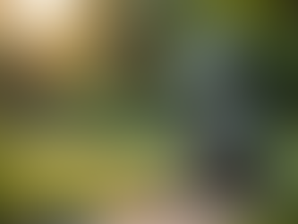 Explore Our Custom Metal Projects in Sienna, Texas