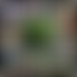 November at Bee Well Yoga: A Month of Gratitude & Celebration