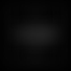 Gratitude Practice for Spring: Rooted Before You Rise