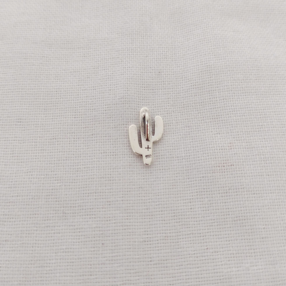 Miniatura: pingente cacto mais prata