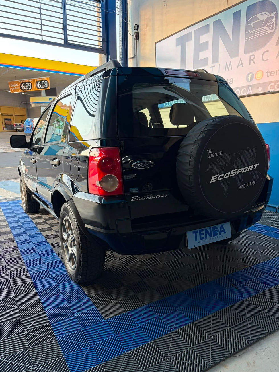 Miniatura: Ecosport Freestyle 2011