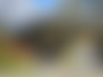 Check out this beautiful cover!