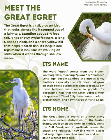 Green Nature Model Magazine Cover (3).jpg