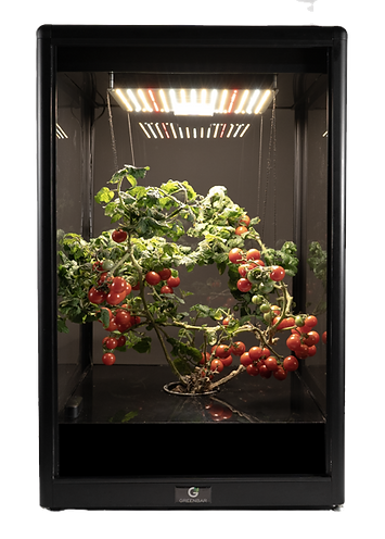 Снимок экрана 2025-08-28 012508_edited.p