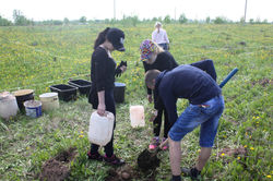 Лес межнационального единства