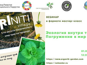 «Экология внутри тебя. Погружение в мир трав.» Семинар и вебинар!