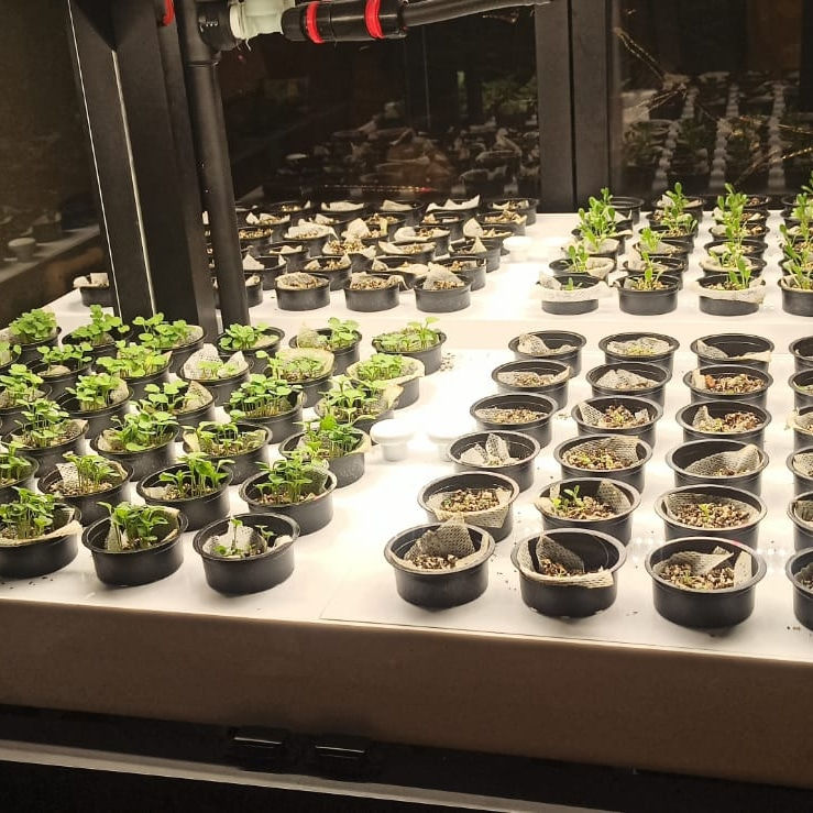 Миниатюра: Промышленная ситиферма Greenbar PRO-5 ПАК для коммерческого выращивания зелени