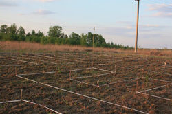 11130134_835265756542380_8584026608384529952_n