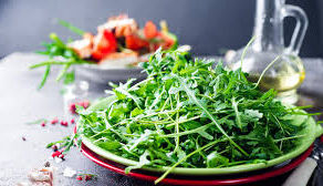 Применение рукколы в кулинарии медицине и косметологии