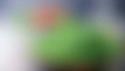 Применение рукколы в кулинарии медицине и косметологии