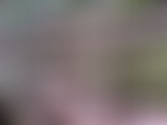 ПРОГНОЗ РОСТА И РАЗВИТИЯ РЫНКА ВЕРТИКАЛЬНЫХ ФЕРМ В РФ НА 2026–2036 ГГ.