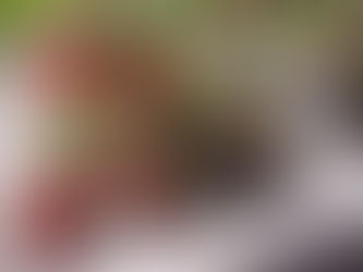 Выращивание клубники в цифровой умной теплице Greenbar