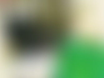 🌺Двухдневный интенсив практическое травоедение🌺