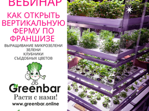 Он-лайн консультация вебинар как открыть вертикальную ферму по выращиванию микрозелени по франшизе