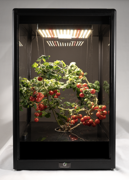 Greenbar "Мажер" для овощей и пряностей