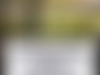 Гостевой день на ферме GREENBAR