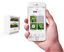 plantcube-smart-controls-urbangardensweb