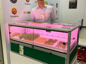 We invite you to visit our booth ( advertising stand  ) at the international exhibition Gulfood 2020