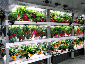 Инвестиции, сохранение капиталов и еда — Топ бизнес ближайшего будущего