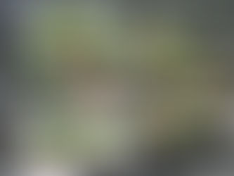 Инвестиции, сохранение капиталов и еда — Топ бизнес ближайшего будущего