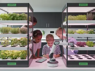 Образовательная программа Фитотерапия и Творчество в Городе Растений» для программы подходит «Умная теплица «Дюймовочка»