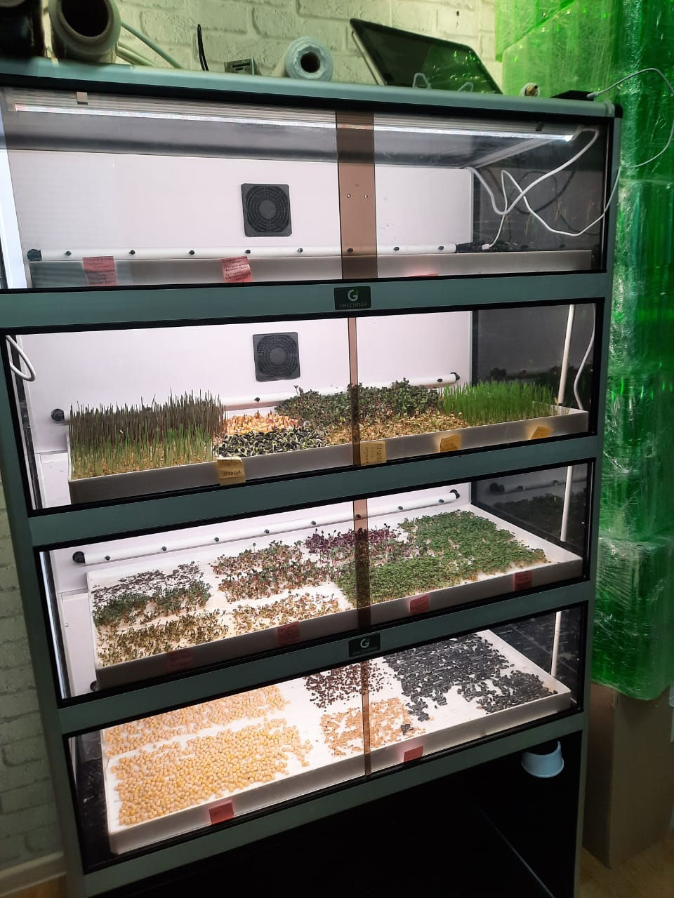 Миниатюра: Витрина Greenbar MZ-4 ПАК для выращивания микрозелени