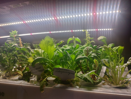 АСШИРЕННАЯ МЕТОДИЧКА ДЛЯ ПРЕПОДАВАТЕЛЯ