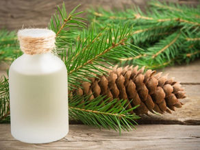 Елка 2020 какой она будет?