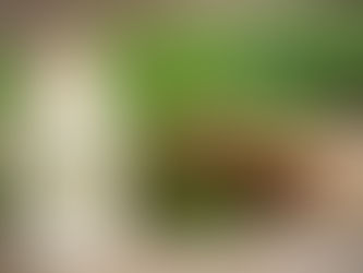 Елка 2020 какой она будет?