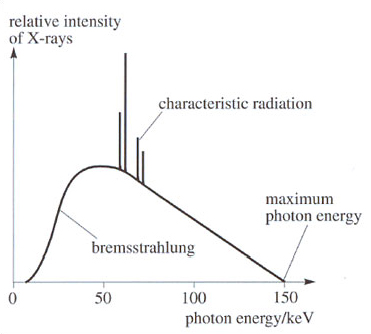 mri vs xray mri vs xray