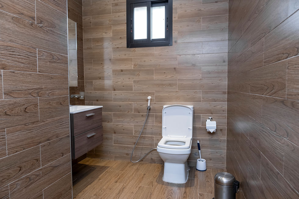 Guest Toilet