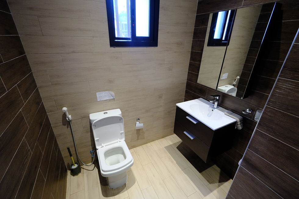 Guest Toilet