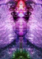 Awakened