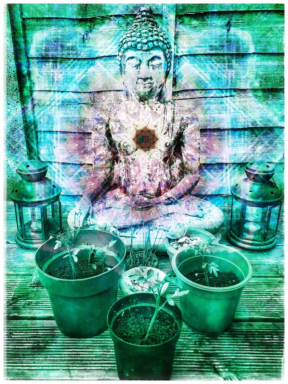Heart Chakra Buddha