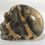 Thumbnail: Crazy Lace Agate Skull 2 inch