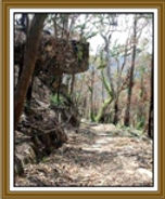 Original Road over the Blue Mountains