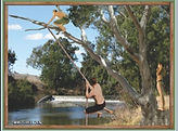 Manilla NSW Weir Rope Swing