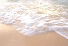 sea4