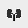 kidney-icon-urology-logo-design-template