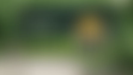 Briefing Note: Lessons From the Sale of Spring Fibre