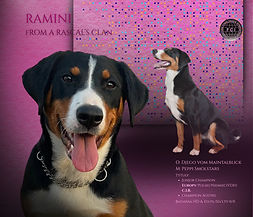 Raminka