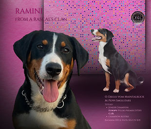 RODZICE O BOLEK OD HADOVKY M PEPPI SMOLSTARS (3)_edited.jpg